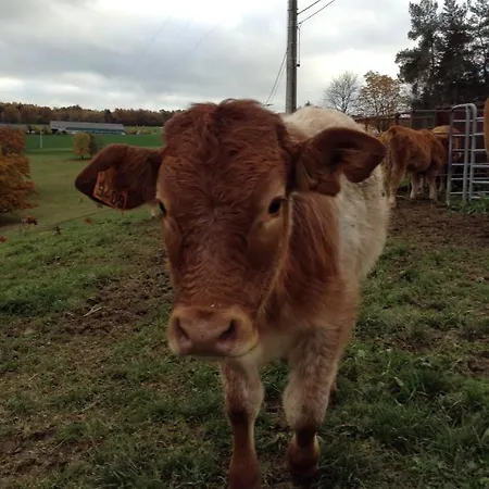 Farm stay Le Petit Nanciry