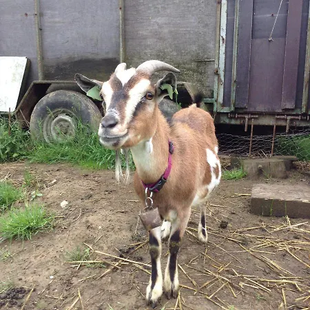 Le Petit Nanciry Farm stay Bertogne